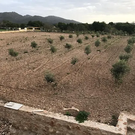 Ca Na Nina Farm stay Sant Llorenc Des Cardassar